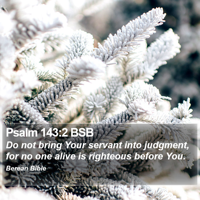 Psalms 143:2 BSB Bible Study