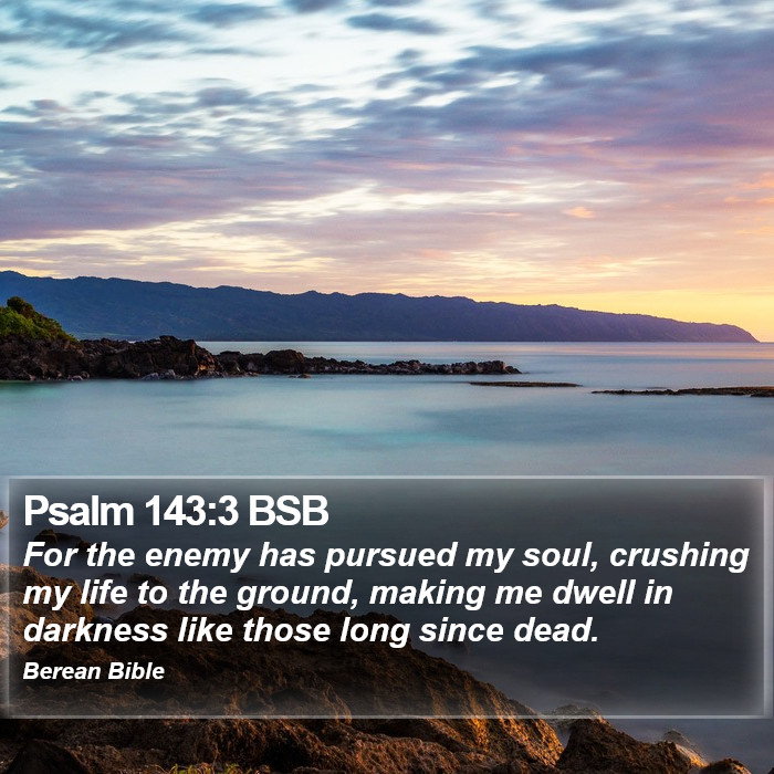 Psalms 143:3 BSB Bible Study