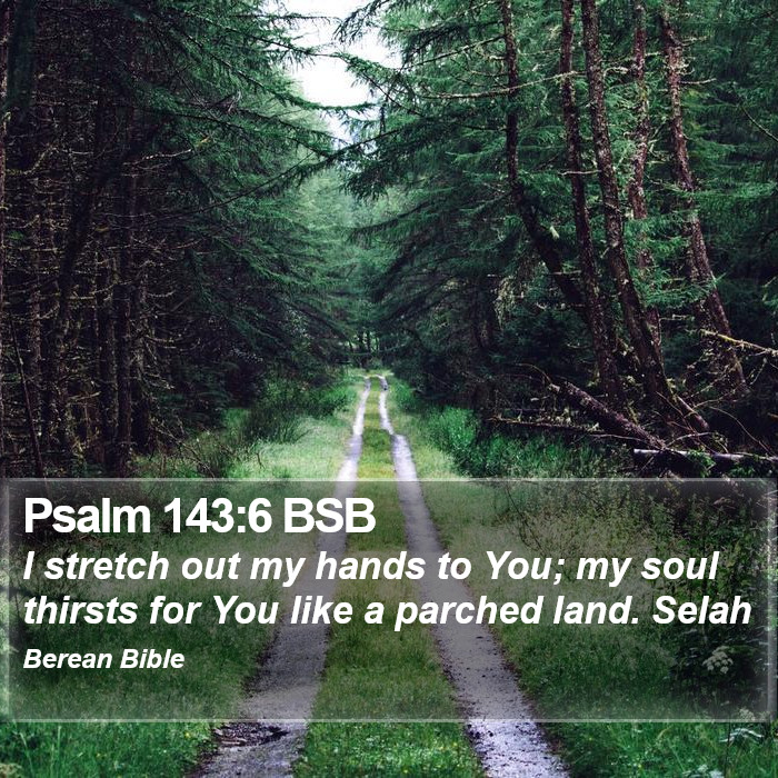 Psalms 143:6 BSB Bible Study