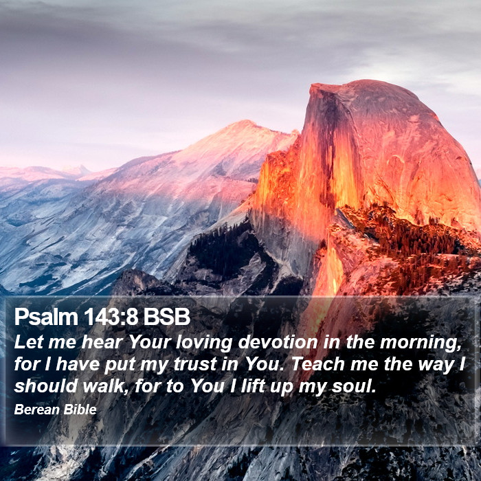 Psalms 143:8 BSB Bible Study