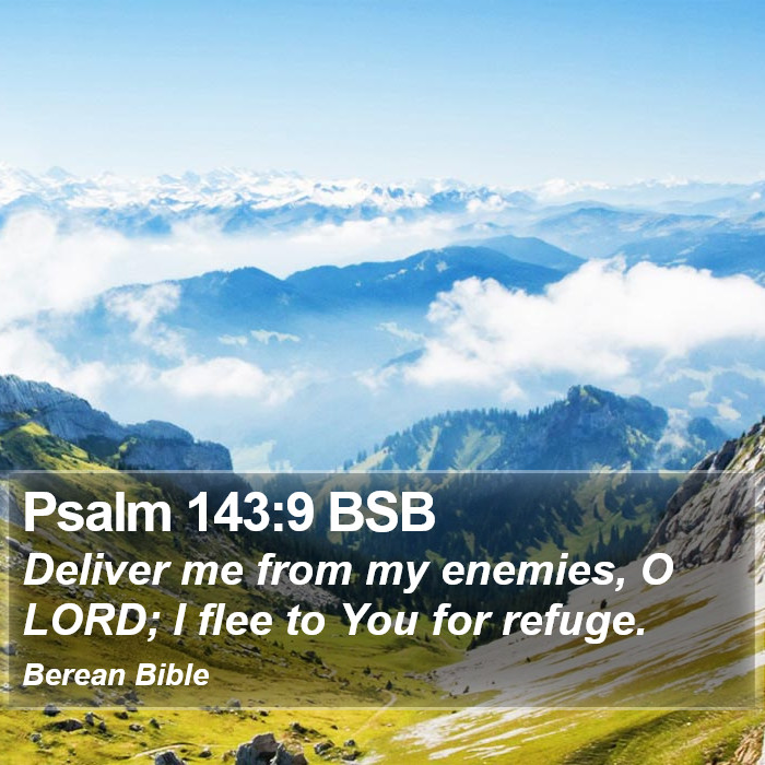 Psalms 143:9 BSB Bible Study