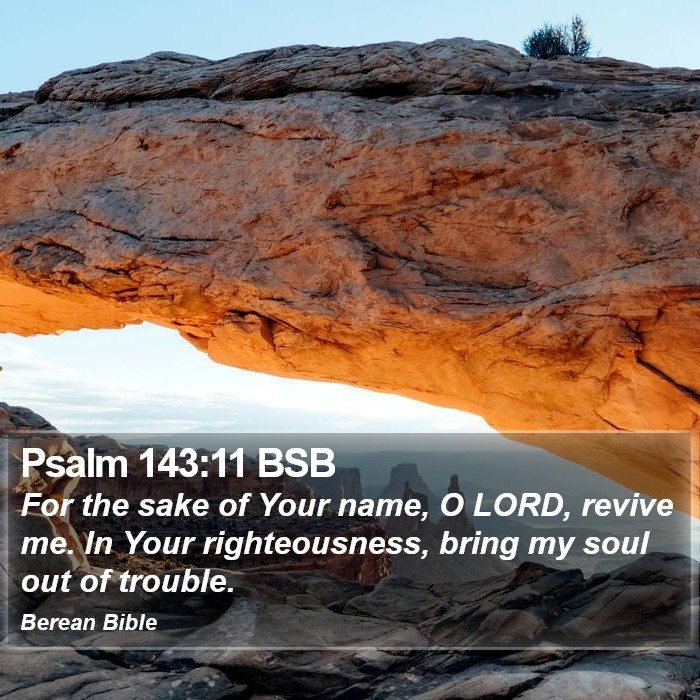 Psalms 143:11 BSB Bible Study