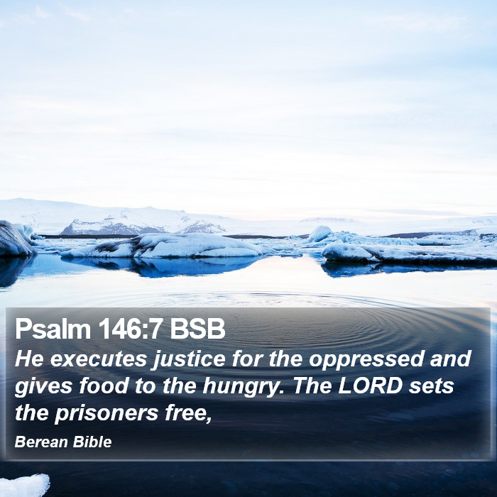 Psalms 146:7 BSB Bible Study