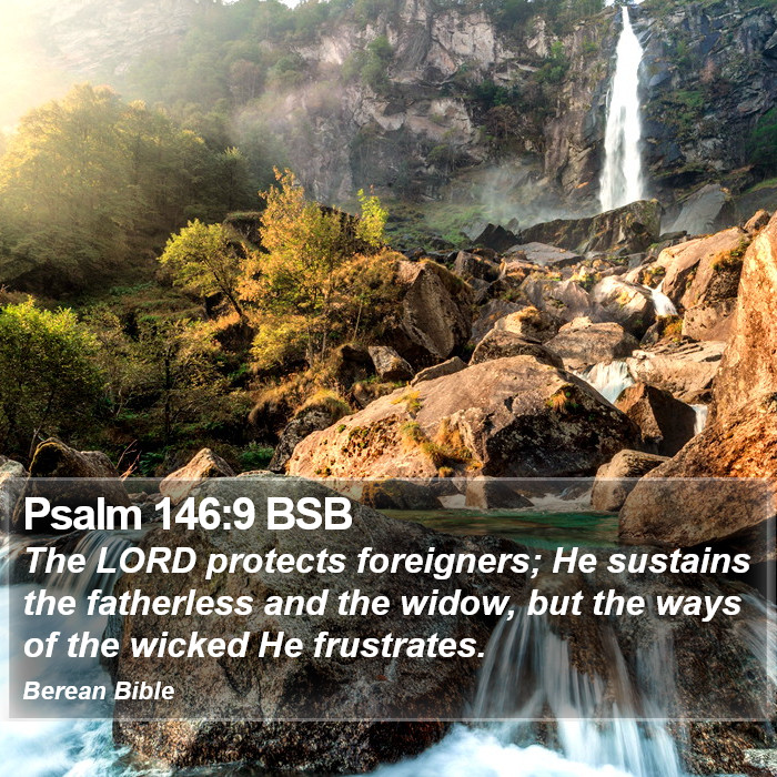 Psalms 146:9 BSB Bible Study