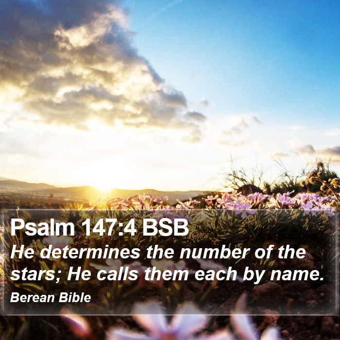 Psalms 147:4 BSB Bible Study