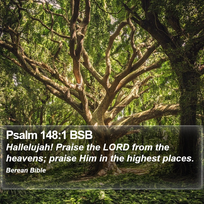 Psalms 148:1 BSB Bible Study