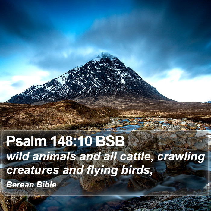 Psalms 148:10 BSB Bible Study