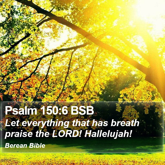 Psalms 150:6 BSB Bible Study