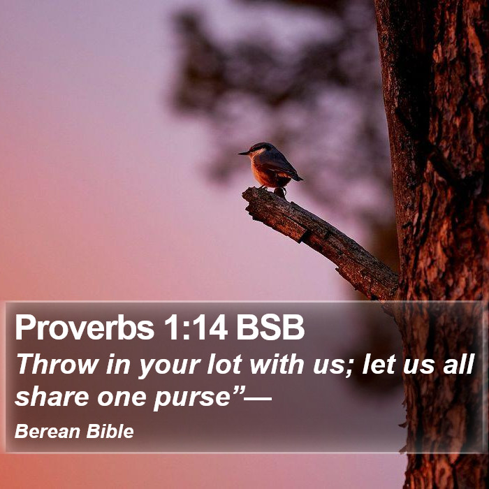 Proverbs 1:14 BSB Bible Study