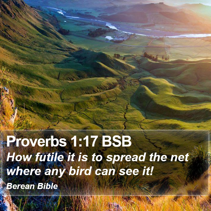 Proverbs 1:17 BSB Bible Study