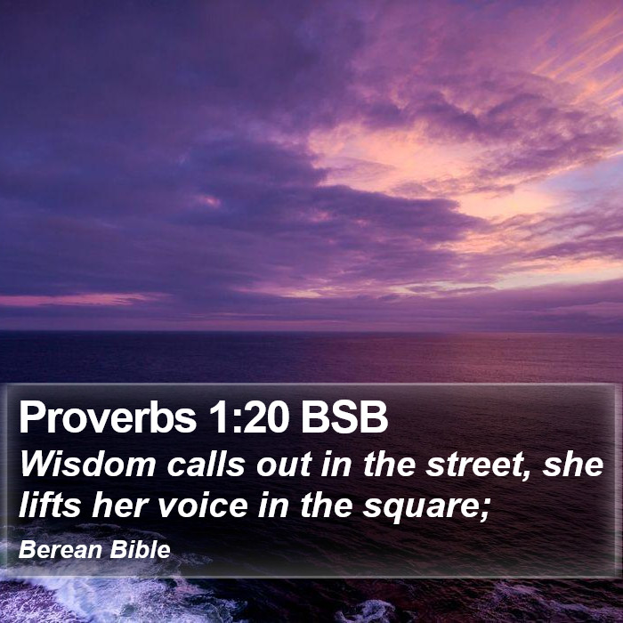 Proverbs 1:20 BSB Bible Study