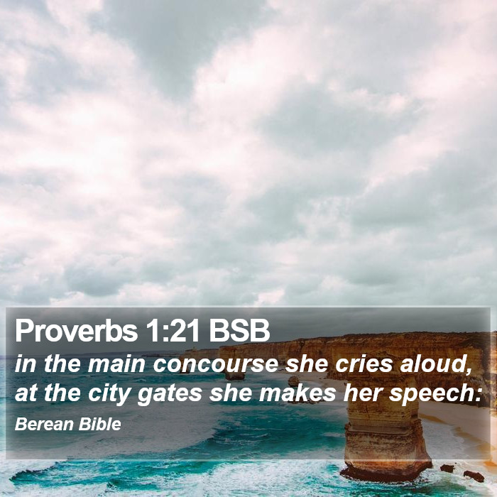 Proverbs 1:21 BSB Bible Study