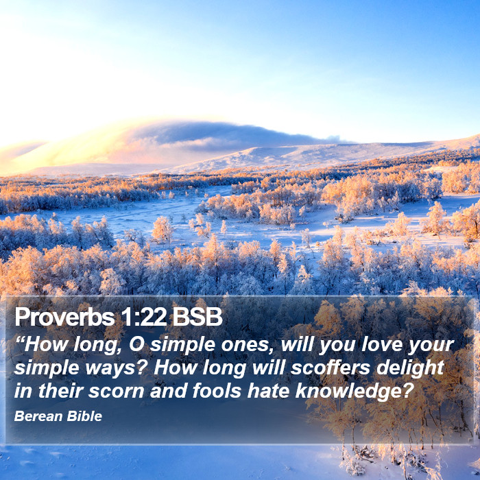 Proverbs 1:22 BSB Bible Study