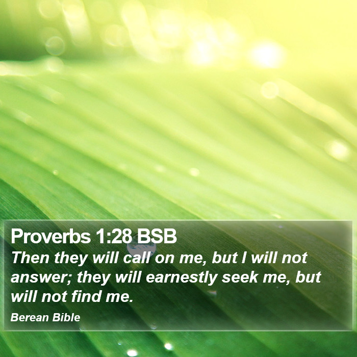 Proverbs 1:28 BSB Bible Study