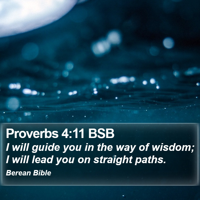 Proverbs 4:11 BSB Bible Study