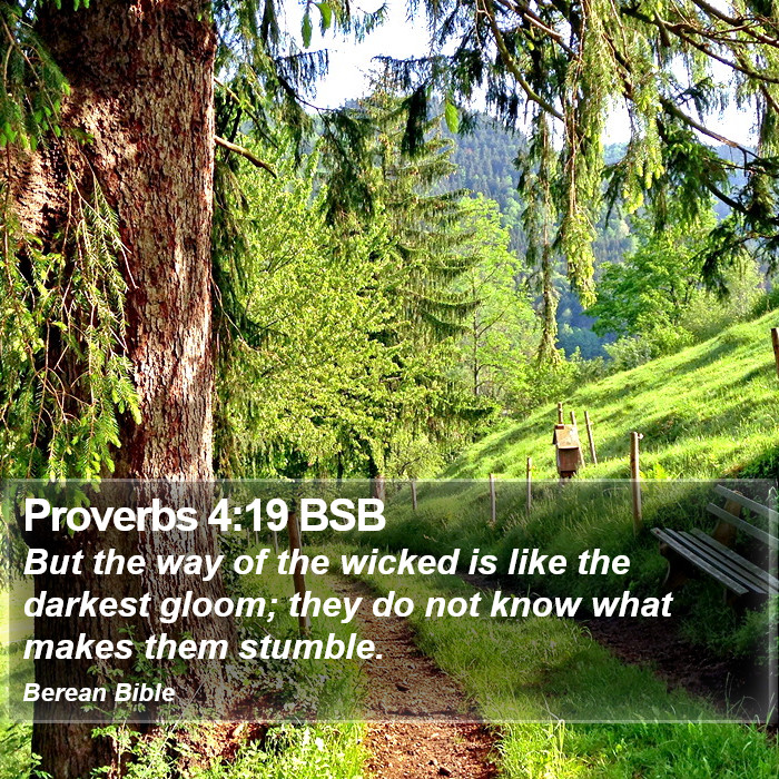 Proverbs 4:19 BSB Bible Study