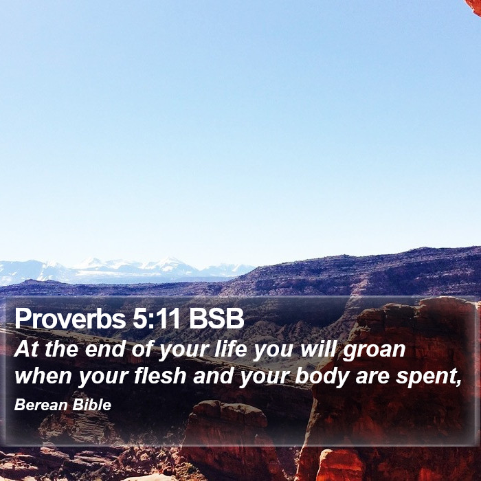 Proverbs 5:11 BSB Bible Study