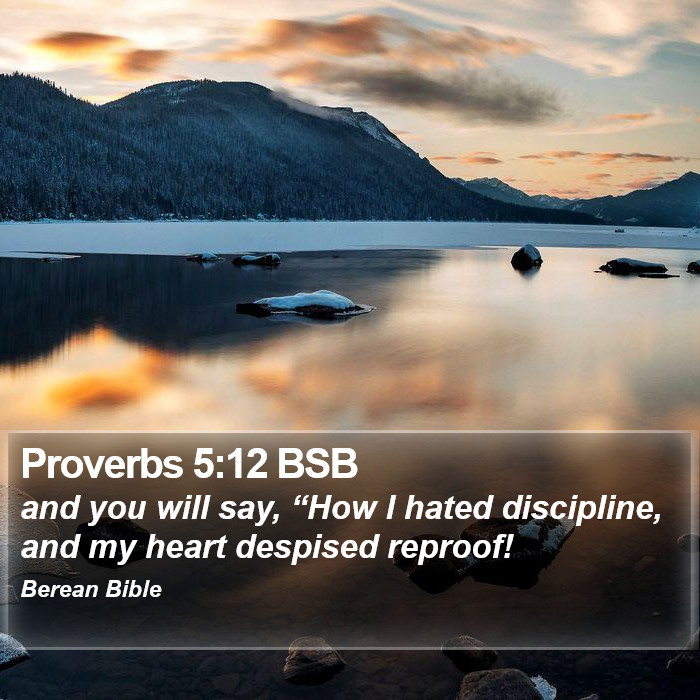 Proverbs 5:12 BSB Bible Study