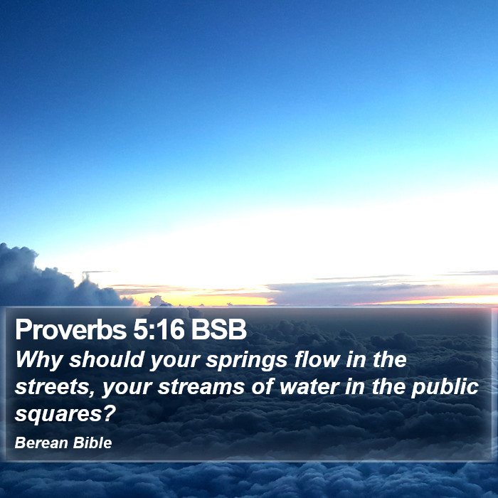 Proverbs 5:16 BSB Bible Study