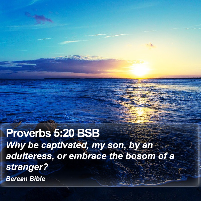 Proverbs 5:20 BSB Bible Study