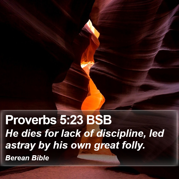 Proverbs 5:23 BSB Bible Study