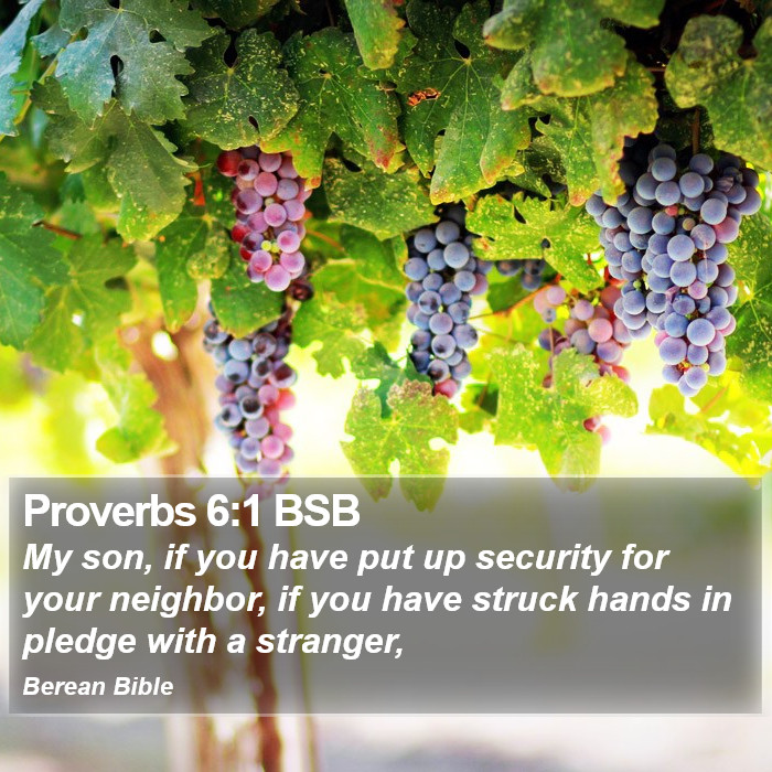 Proverbs 6:1 BSB Bible Study