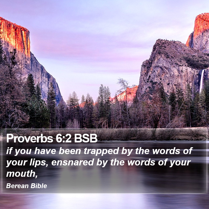 Proverbs 6:2 BSB Bible Study