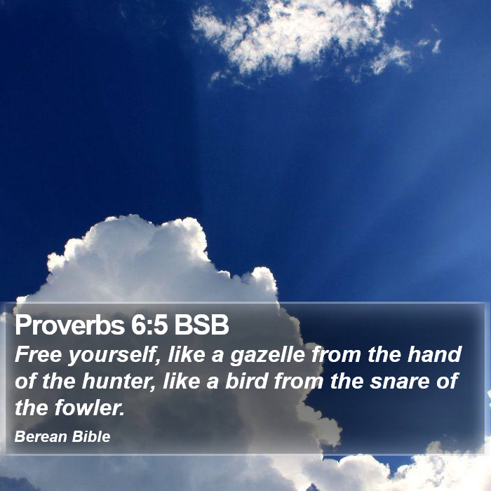 Proverbs 6:5 BSB Bible Study