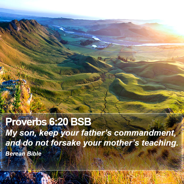 Proverbs 6:20 BSB Bible Study