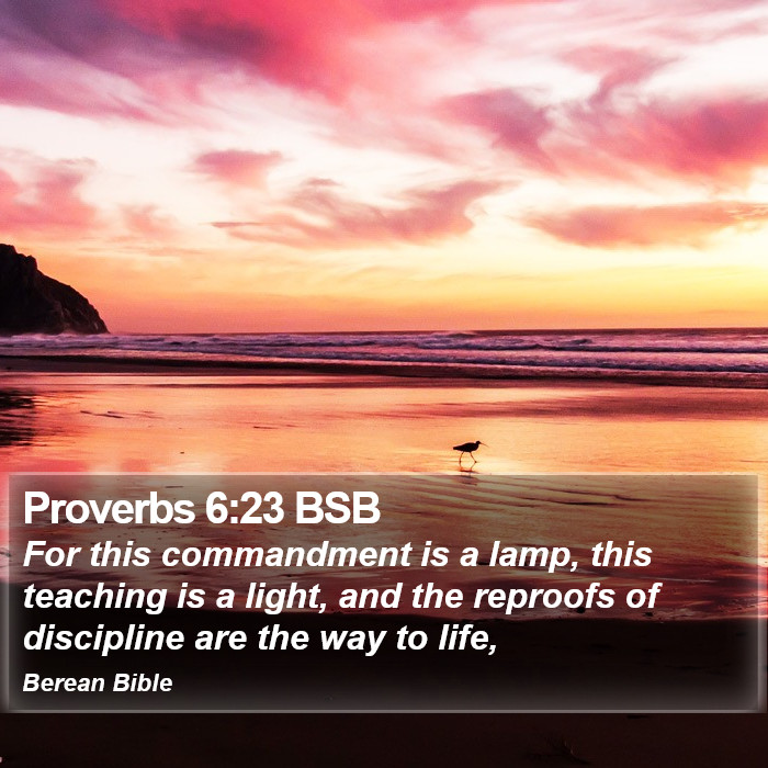 Proverbs 6:23 BSB Bible Study