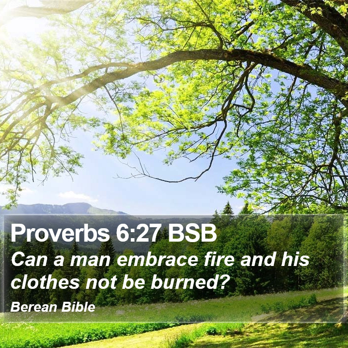 Proverbs 6:27 BSB Bible Study