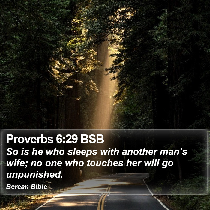 Proverbs 6:29 BSB Bible Study