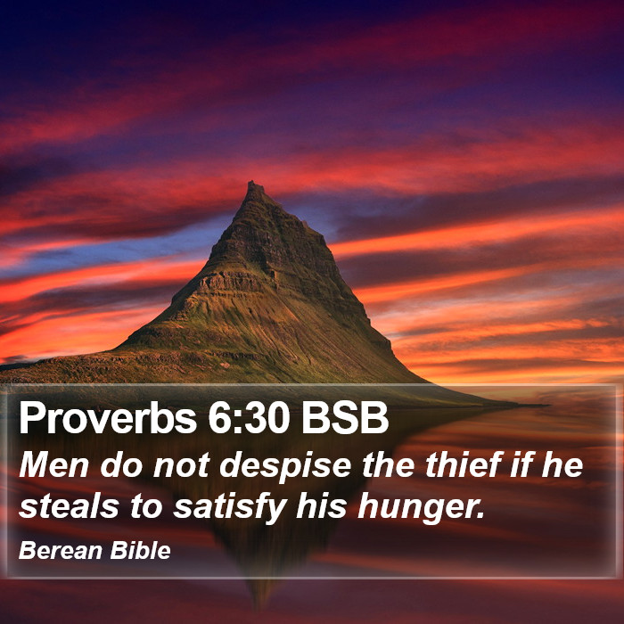 Proverbs 6:30 BSB Bible Study