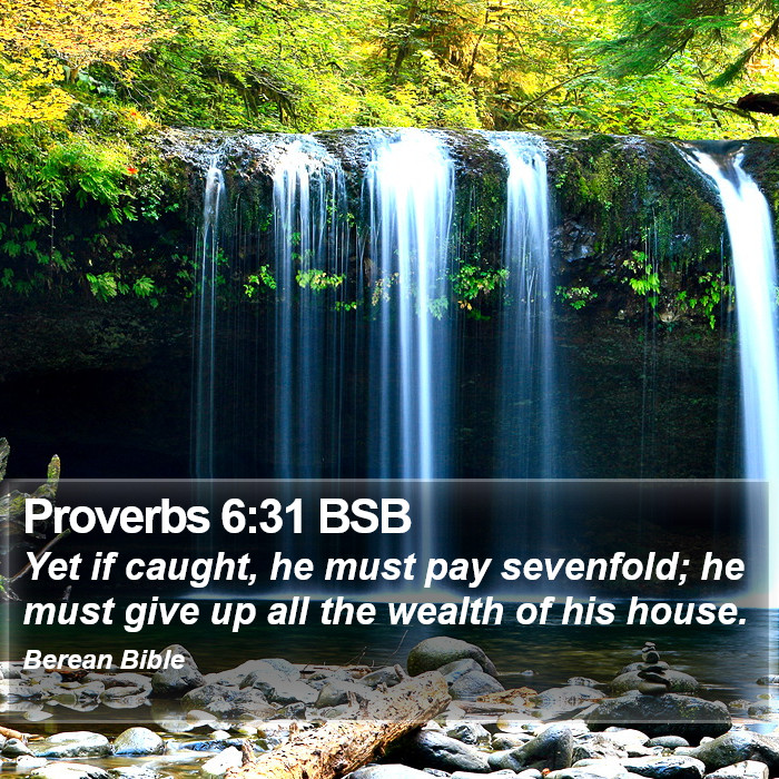 Proverbs 6:31 BSB Bible Study