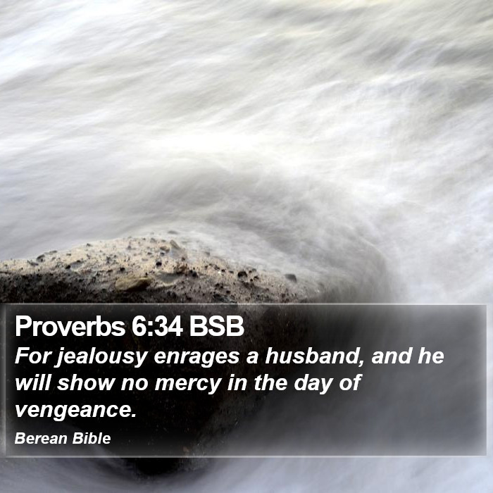 Proverbs 6:34 BSB Bible Study