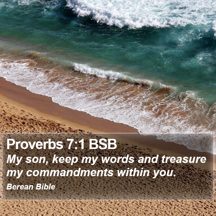 Proverbs 7:1 BSB Bible Study