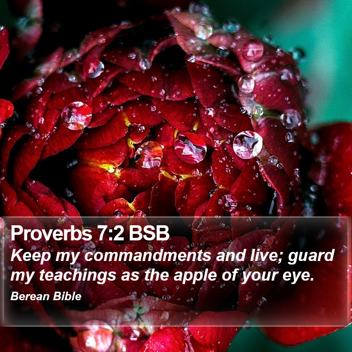 Proverbs 7:2 BSB Bible Study