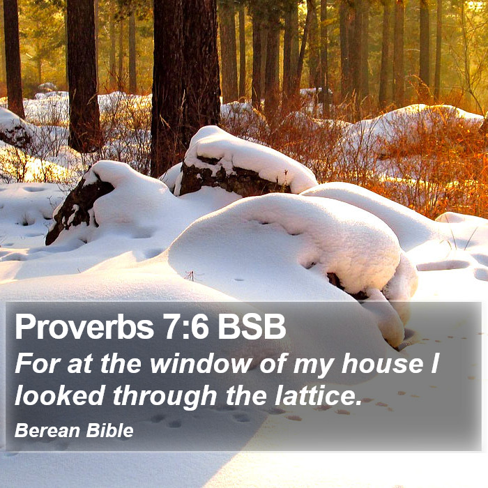 Proverbs 7:6 BSB Bible Study