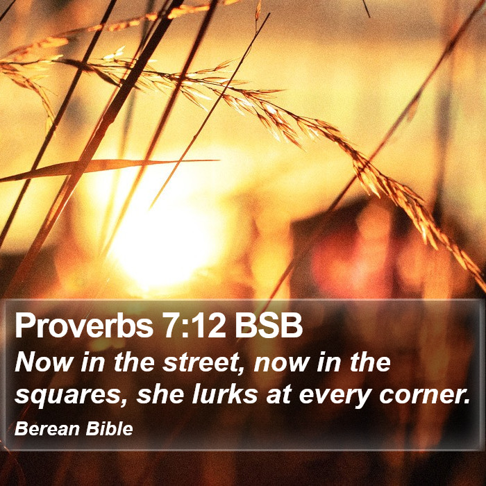 Proverbs 7:12 BSB Bible Study