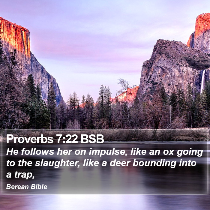 Proverbs 7:22 BSB Bible Study