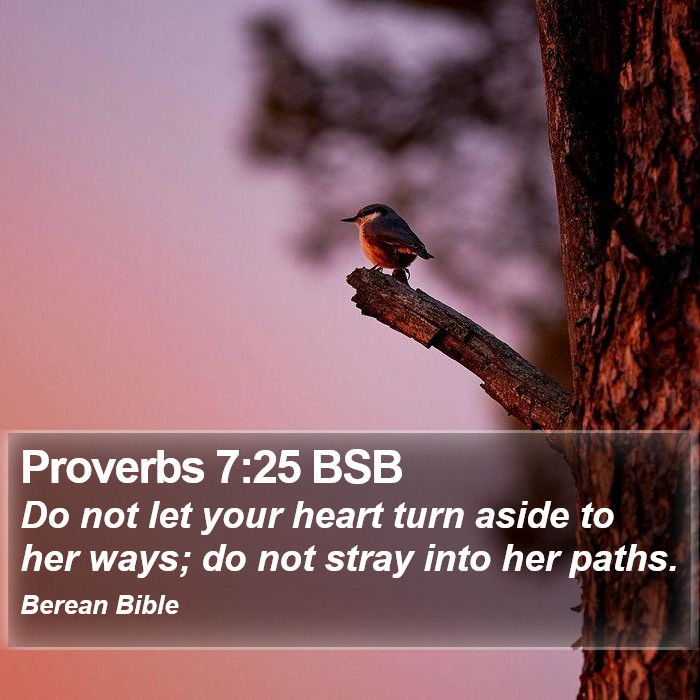 Proverbs 7:25 BSB Bible Study