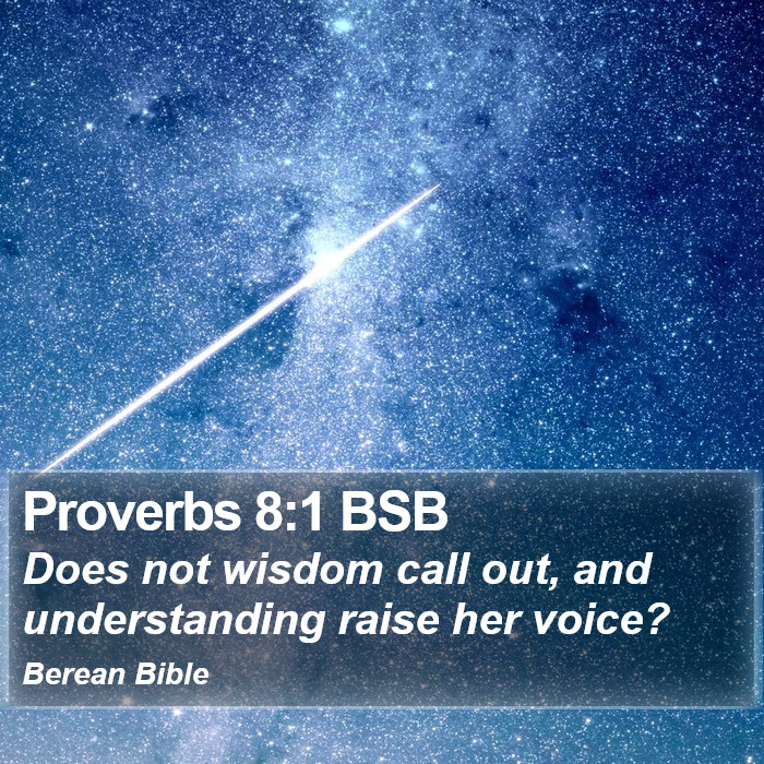 Proverbs 8:1 BSB Bible Study