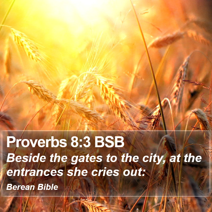 Proverbs 8:3 BSB Bible Study