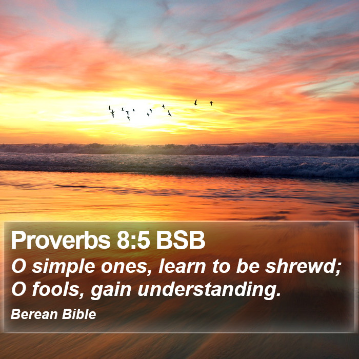 Proverbs 8:5 BSB Bible Study