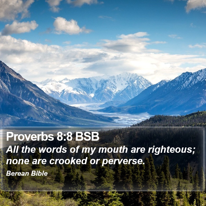 Proverbs 8:8 BSB Bible Study