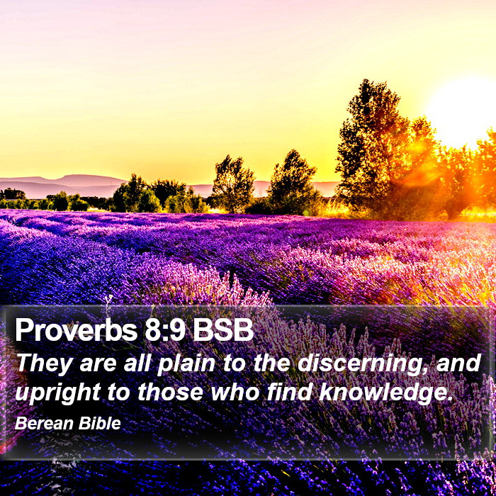 Proverbs 8:9 BSB Bible Study