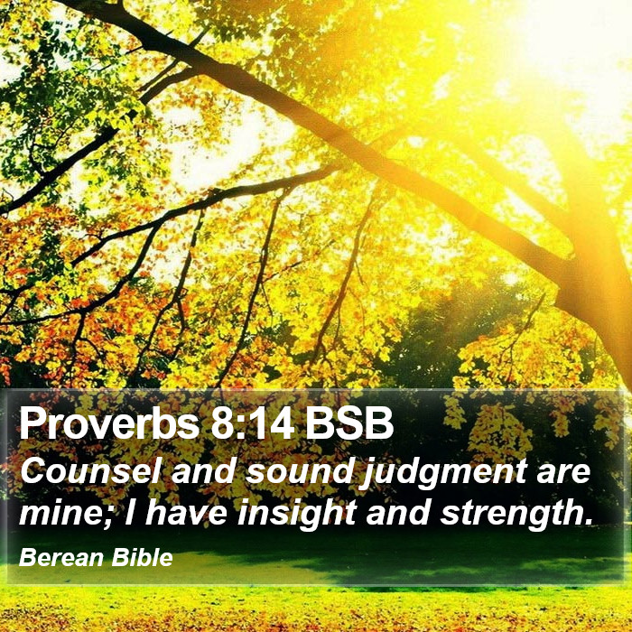 Proverbs 8:14 BSB Bible Study