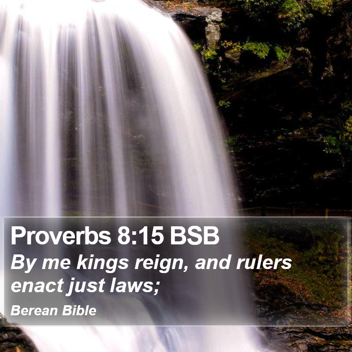 Proverbs 8:15 BSB Bible Study