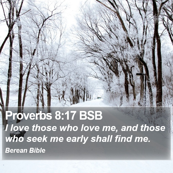 Proverbs 8:17 BSB Bible Study