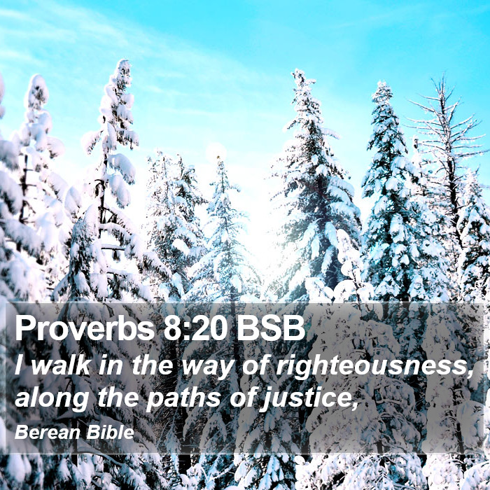 Proverbs 8:20 BSB Bible Study